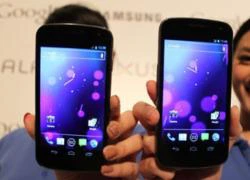 Samsung Galaxy Nexus giá trên 800 USD