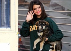 Selena Gomez khoe &#8220;em&#8221; cún đáng yêu vừa nhận nuôi cùng Justin