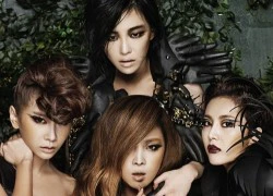 SNSD, KARA, Brown Eyed Girls có điểm gì chung?