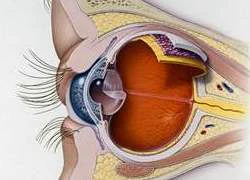 Tạo ra thuốc phòng ngừa bệnh đục thủy tinh thể