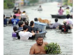 Thái Lan nghỉ 5 ngày đối phó lũ lụt