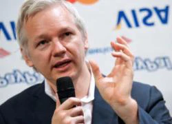 Wikileaks ngừng công bố tài liệu