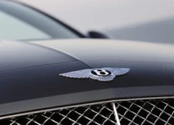 Xe SUV của Bentley dùng động cơ 12 xy-lanh