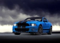 Ấn tượng Ford Shelby GT500 phiên bản 2013