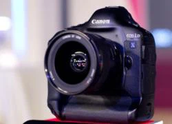 Canon EOS-1D X bất ngờ đến VN