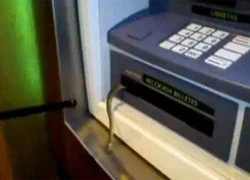 Hãi hùng rắn chui ra từ máy ATM