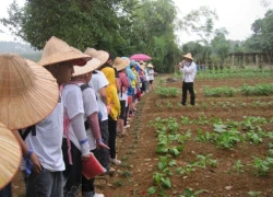 Hơn 160 học sinh trải nghiệm làm nông dân