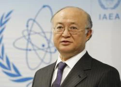 IAEA quan ngại vấn đề hạt nhân Triều Tiên, Iran