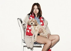 Lee Hyori làm điệu với cún cưng