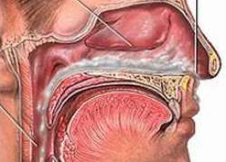 Ngừa biến chứng viêm mũi xoang trong mùa lạnh