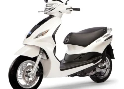 Piaggio ra mắt xe Fly phiên bản mới