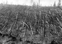 Sự kiện Tunguska, bí ẩn hơn một thế kỷ