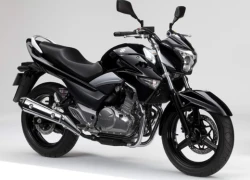 Suzuki Inazuma 250: "Baby-King" lộ diện