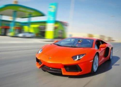 Thiếu gia Ả-rập &#8216;tậu&#8217; thêm siêu xe Lamborghini Aventador