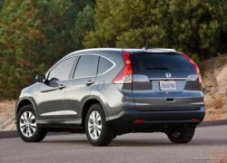 Tranh cãi đuôi xe Honda CR-V quá thô