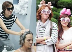 Xem Kim Ha Neul gội đầu cho "thú cưng" Jang Geun Suk