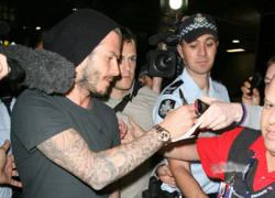 Becks bị fan Australia vây kín