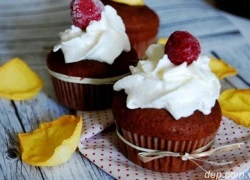 [Chế biến]- Cupcake cacao thơm ngon dễ làm!