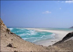 Đảo Socotra vùng đất của loài huyết rồng quý hiếm