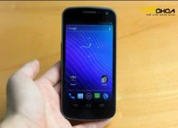 Galaxy Nexus giá hơn 18 triệu ở Hà Nội