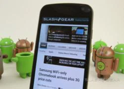 Google cho cập nhật vá lỗi âm lượng Galaxy Nexus