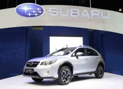 Lộ diện mẫu xe Subaru sắp về Việt Nam