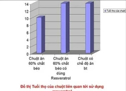 Phòng tránh tai biến mạch máu não trong mùa đông