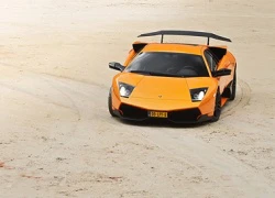 Siêu xe Lamborghini làm bò tót