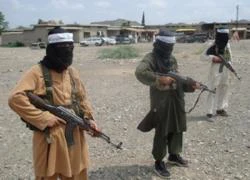 Taliban xác nhận hòa đàm với chính phủ Pakistan