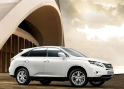 Toyota cân nhắc việc sản xuất Lexus tại Mỹ