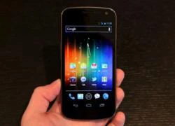 Galaxy Nexus bị lỗi tự động reboot