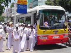 "Ghiền" xe bus