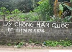 Hàn Quốc siết luật mai mối sau thảm án cô dâu Việt