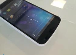 Hình ảnh Samsung Galaxy Nexus màu trắng