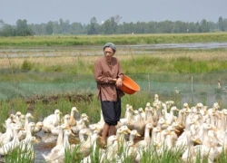 Hoài Linh biến hóa trong phim Tết "Hello cô Ba"