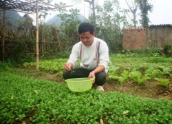 Miệt mài "gieo chữ" nơi vùng cao