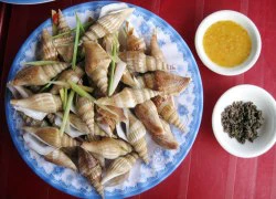 Ốc nhảy An Hải