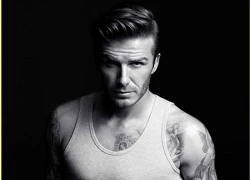 Beckham - Anh chàng quyến rũ nhất hành tinh năm 2012