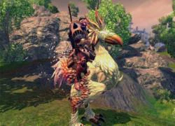 Đánh quái không rơi vàng, item trong game RaiderZ