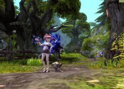 Dragon Nest Bắc Mỹ sát nhập server, gamer mất ngủ