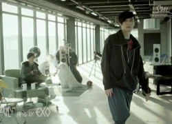 EXO say sưa ngắm nhật thực