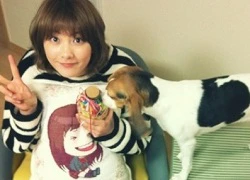 Fan "soi" ảnh "mũm mĩm" của Ji Young (KARA)