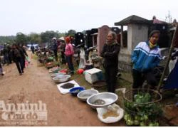 Hãi hùng họp chợ trong &#8220;thành phố&#8221; chết