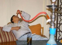 Hút shisha không gây độc?