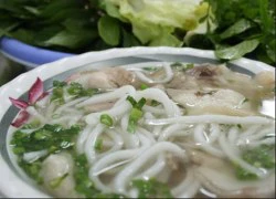 Những món bánh canh hấp dẫn nhất Việt Nam