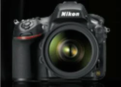 Nikon D800 sẽ có hai phiên bản