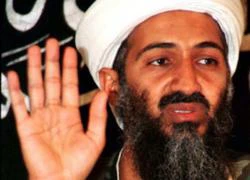 Osama bin Laden khuyên con không nên theo thánh chiến