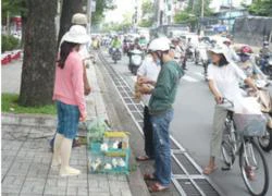 Thú rừng lại... xuống phố