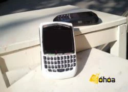 5 mẫu smartphone BlackBerry pin tốt