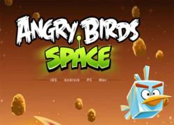 Angry Birds Space giới thiệu các chú chim mới